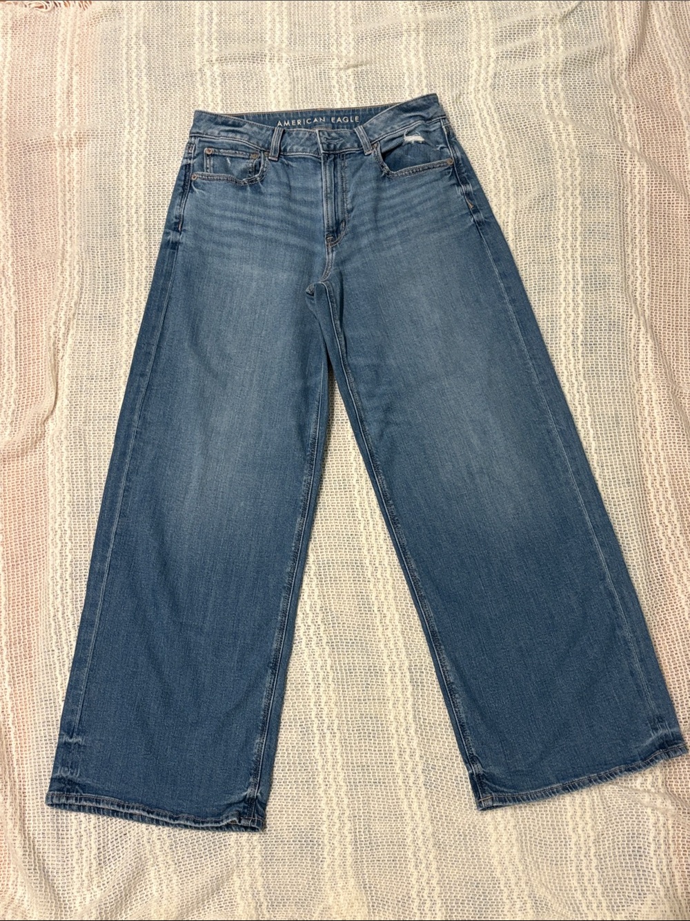 American Eagle Outfitters Wide Leg Low-Rise Jeans in Blue Wash